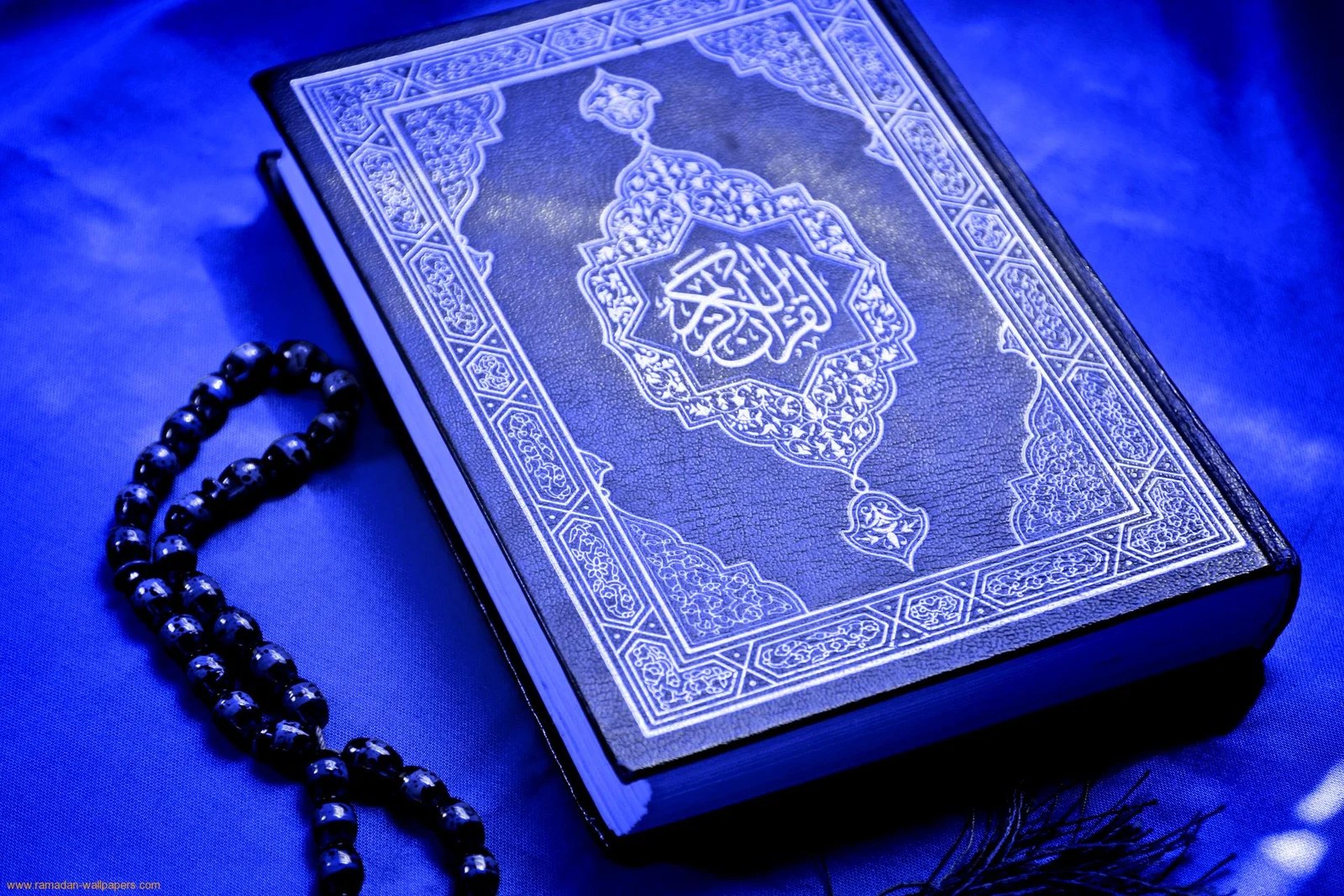Best Holy Quran Apps for Android
