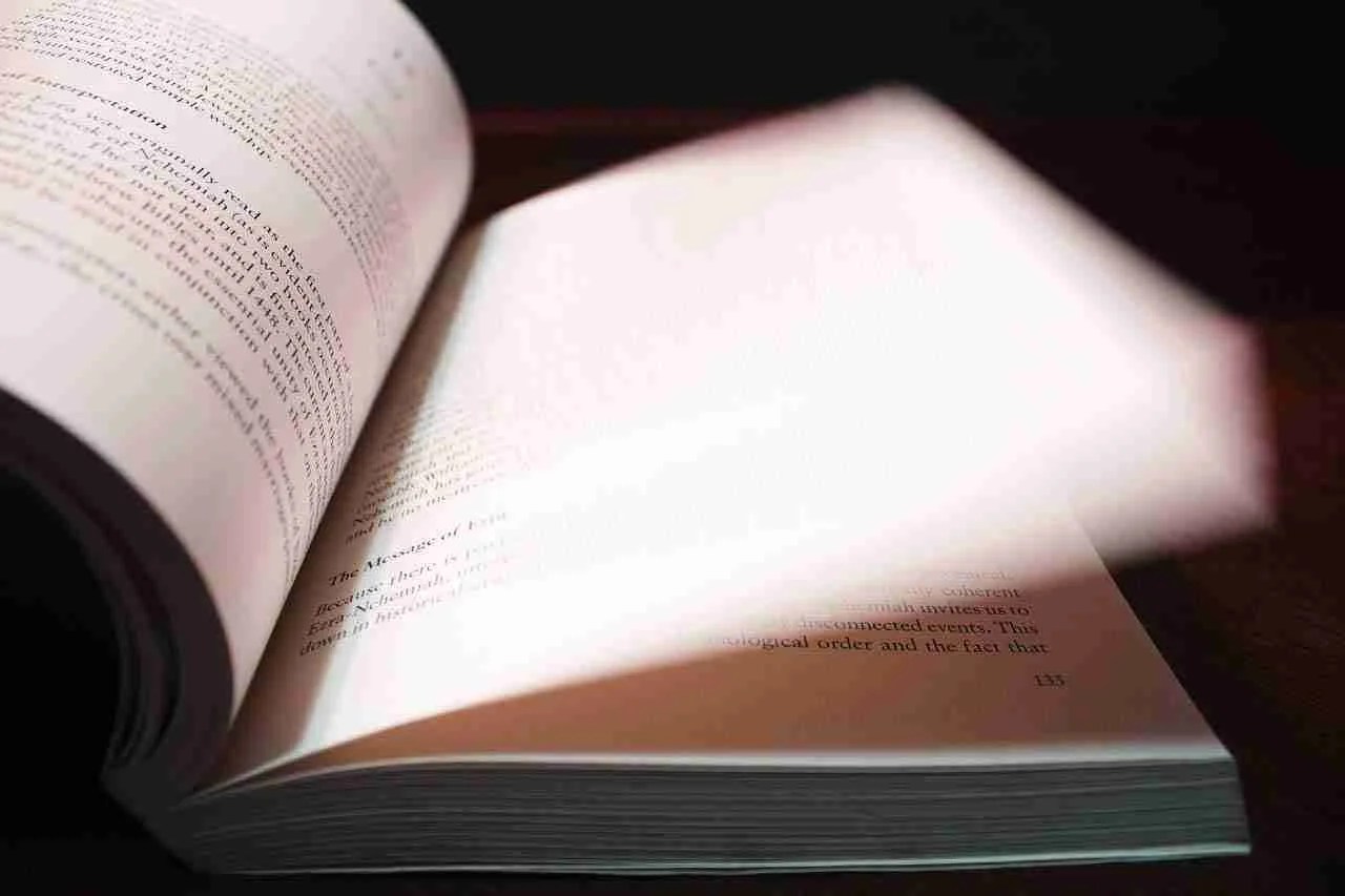 The Convenient Bride Chinese Novel Read Online PDF