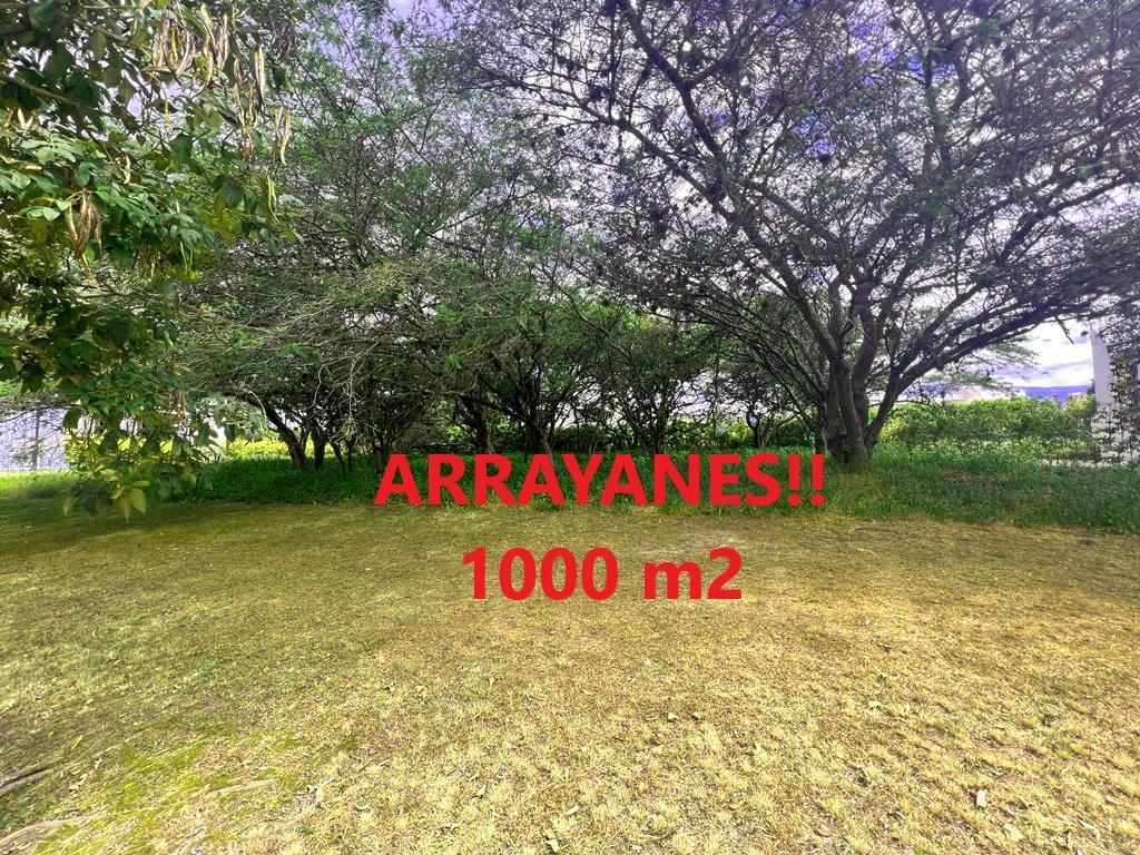 Hermoso Terreno de Venta en Urbanización Arrayanes Puembo! Nexos Realty