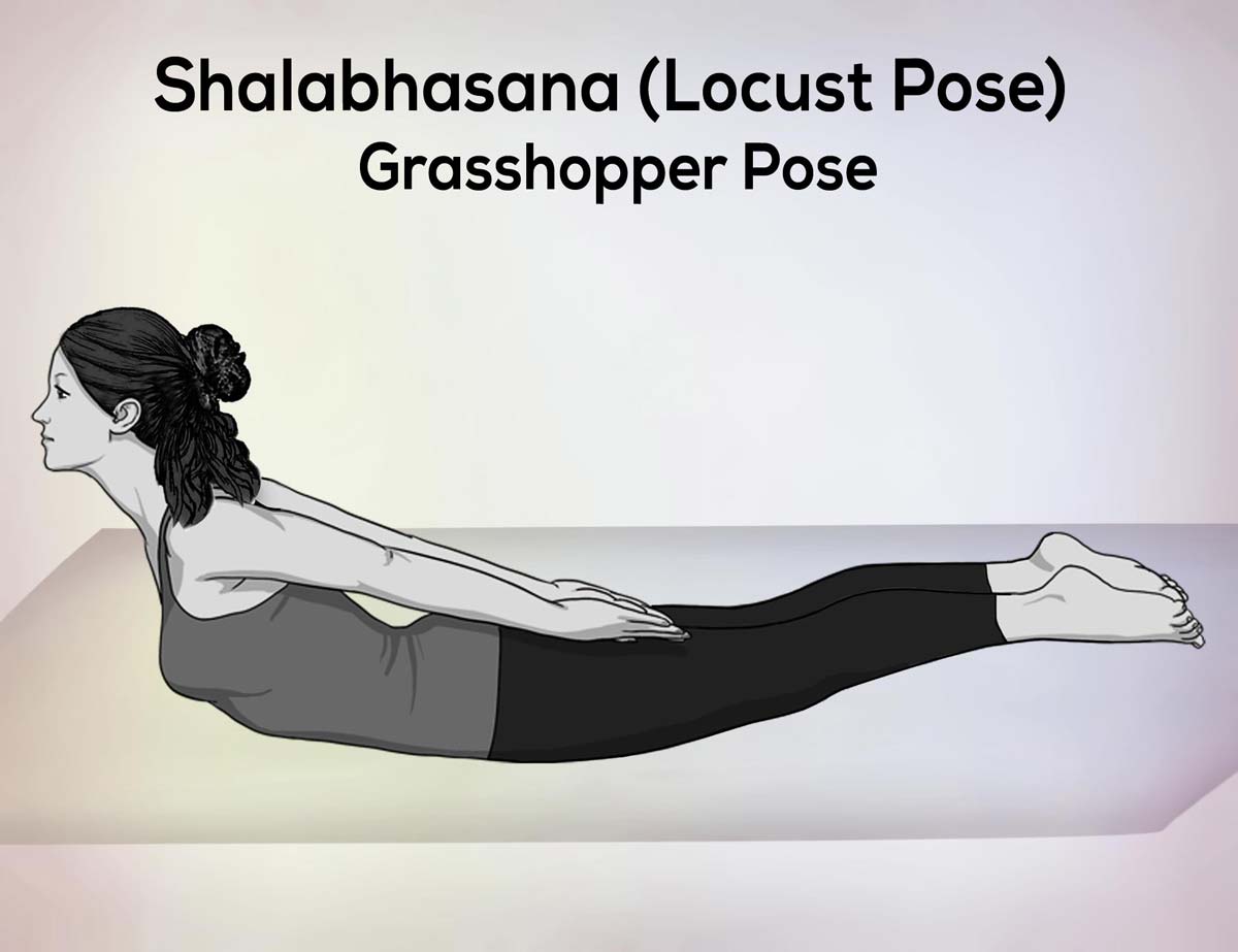 Shalabhasana (Locust Pose) Steps, Benefit, Precautions, Tips nexoye