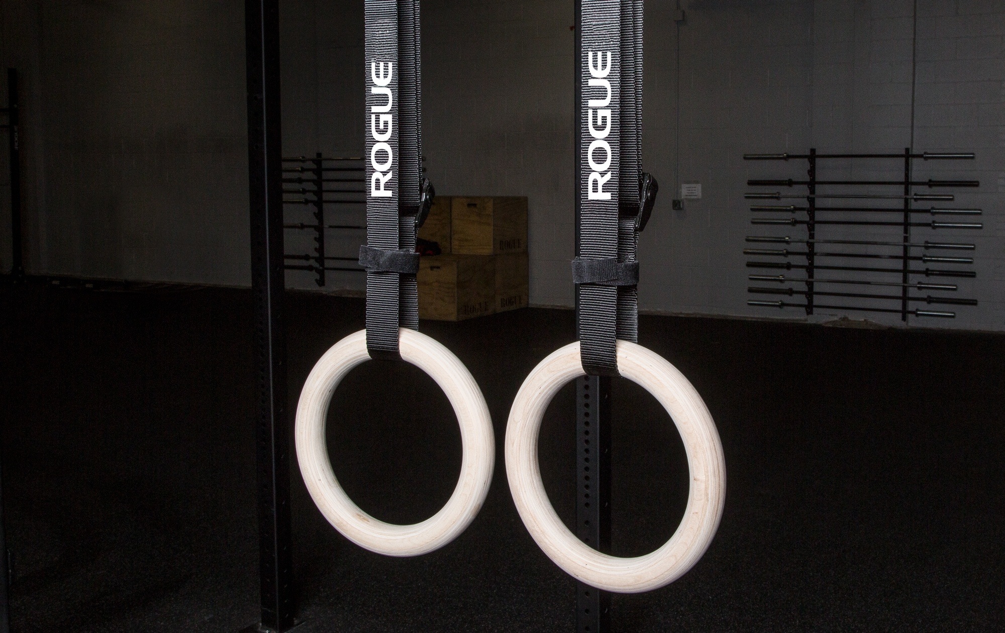 Gymnastic Rings 6 Reasons They Rock for Building Strength & Muscle