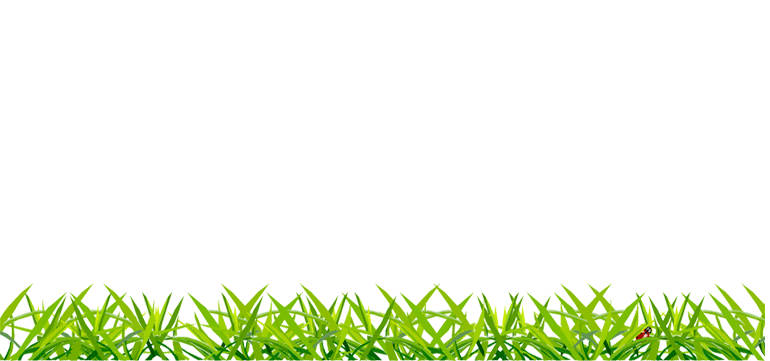 Grass NEXT.cc
