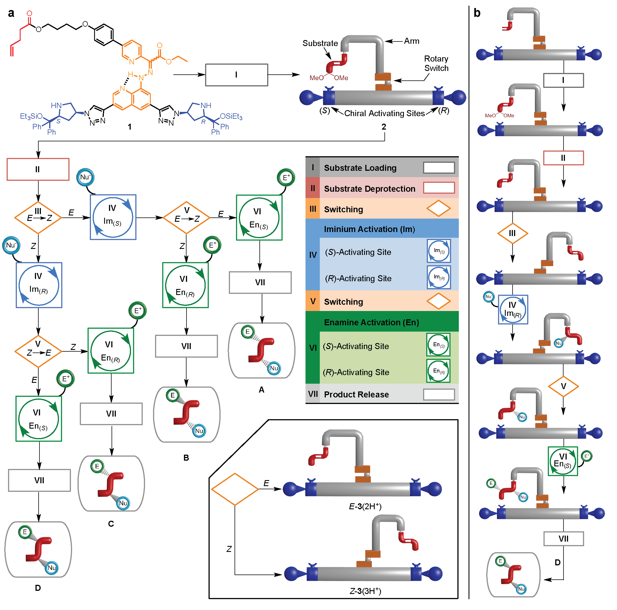 Progress to scalable Molecular Machines