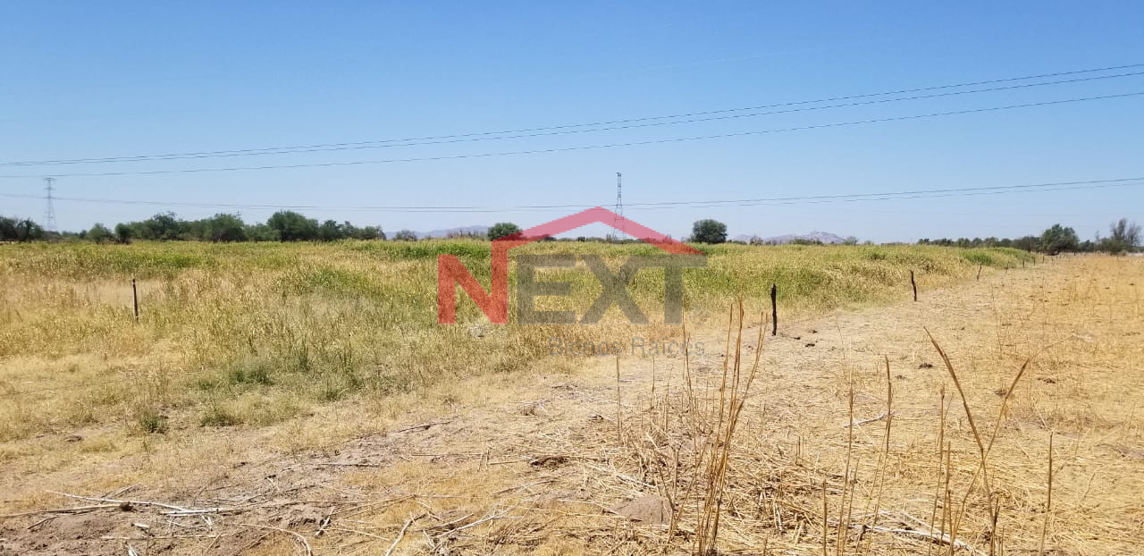 Terreno en Venta en Hermosillo , Mesa del Seri, , 220000.00 m2 construcción