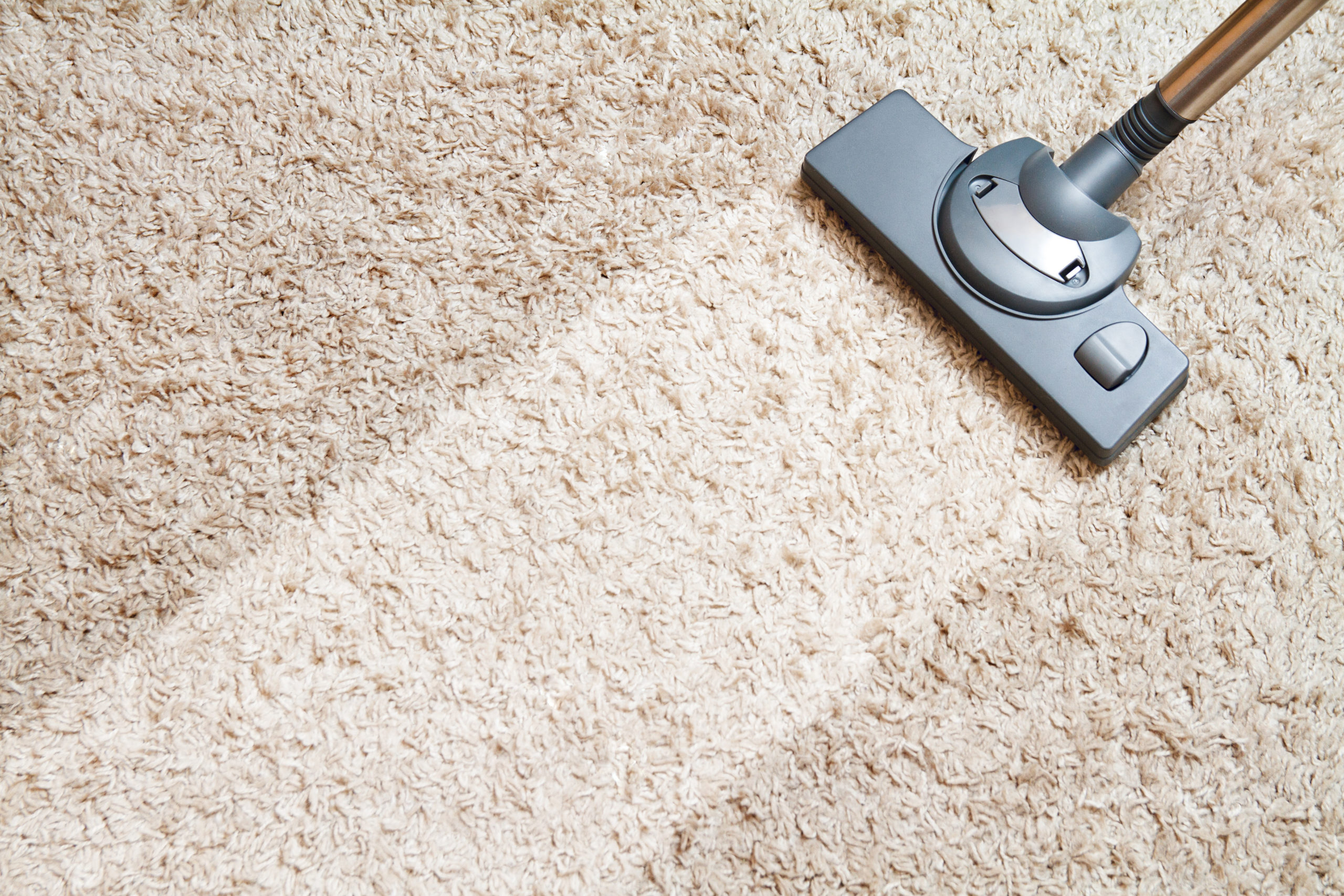 What Is The Average Cost of Carpet Cleaning in Sterling, VA? Next Day