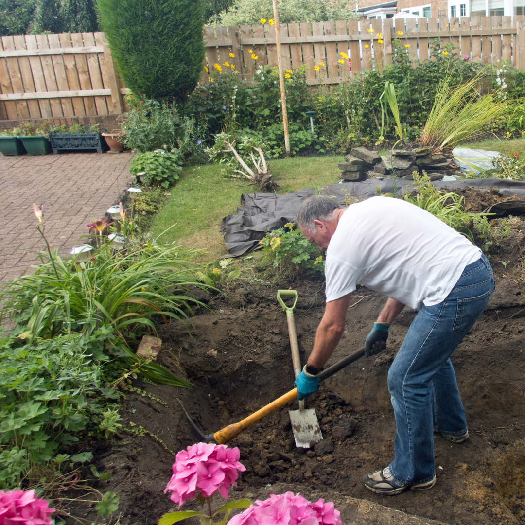 How Deep Should Your Koi Pond Be? Next Day Koi