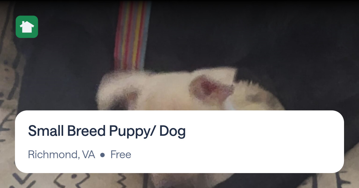 Small Breed Puppy/ Dog for Free in Richmond, VA For Sale & Free