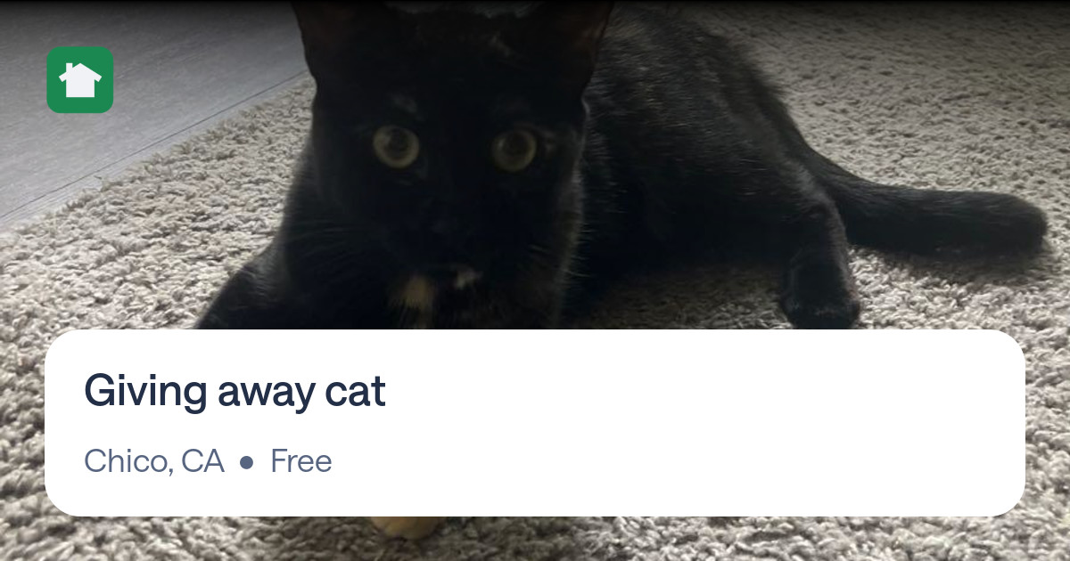 Giving away cat for Free in Chico, CA For Sale & Free — Nextdoor