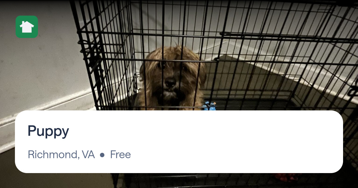 Puppy for Free in Richmond, VA For Sale & Free — Nextdoor