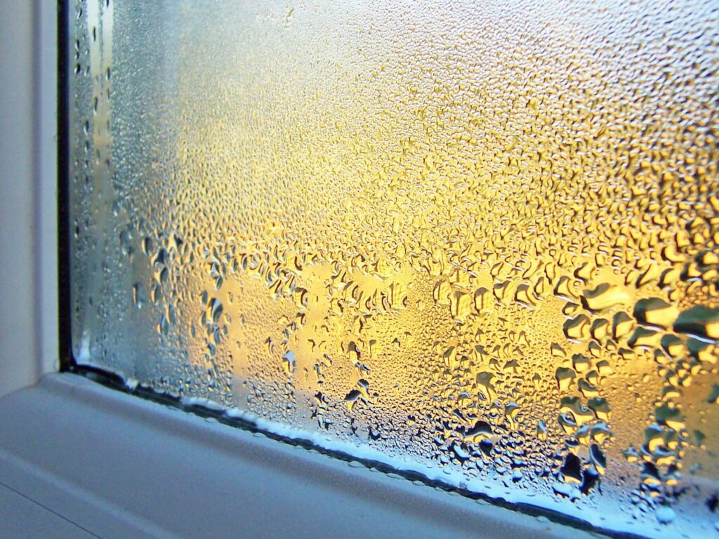 Is Your Window Condensation Normal or Not? Next Door & Window