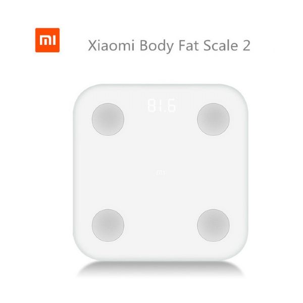 slim fake mass האם משקל שיומי חכם מחשב מסת שריר Legend corruption lunch