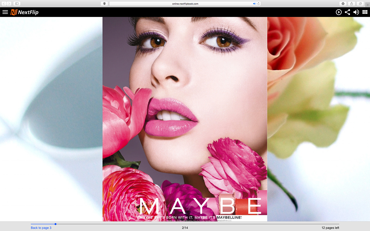 HTML5 Flipbook software to convert PDF magazine, brochure, catalog