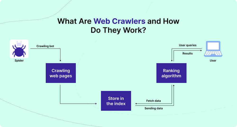 12 Most Common Web Crawler List You Should Know About