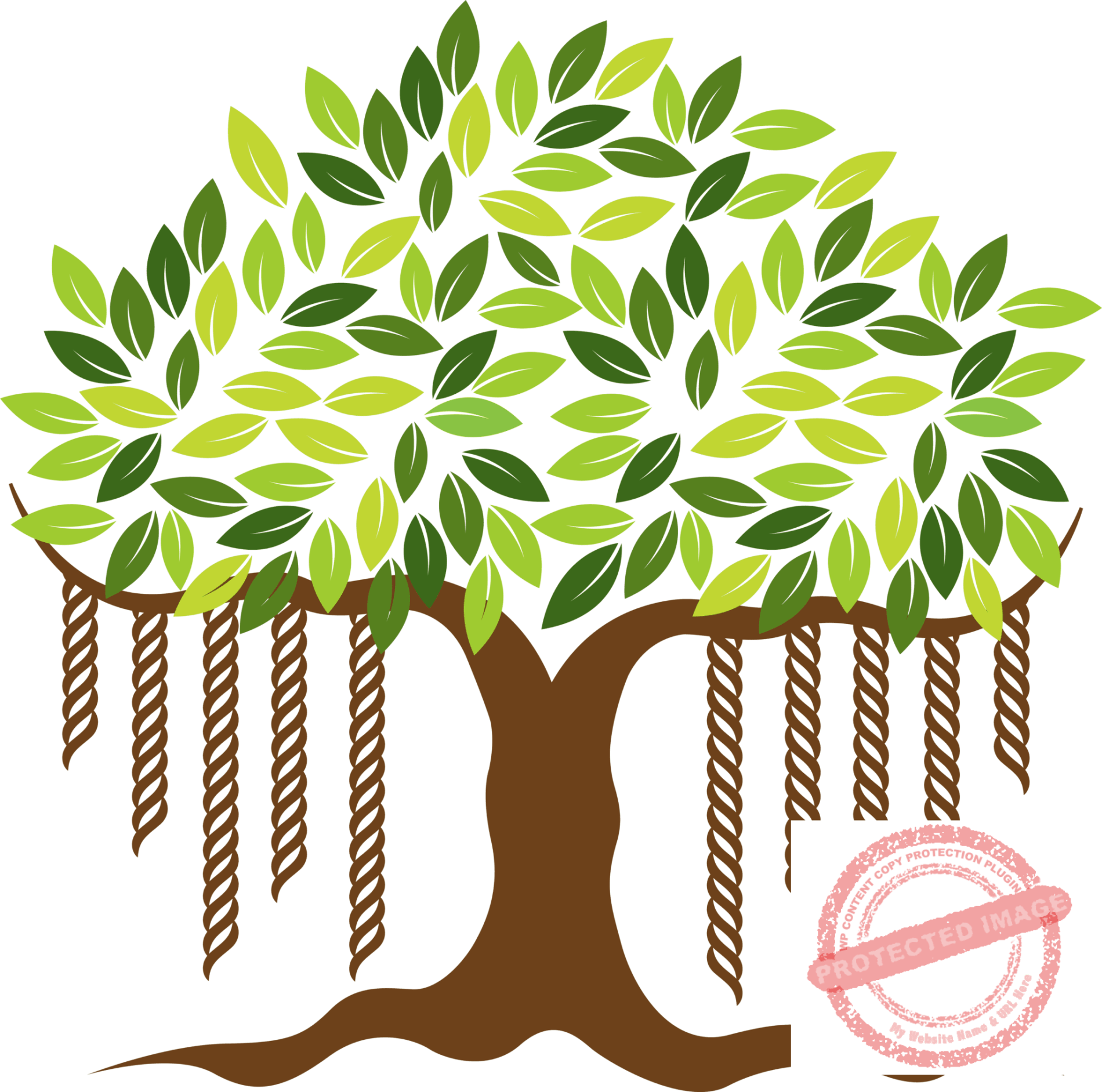 About us Next Level Education