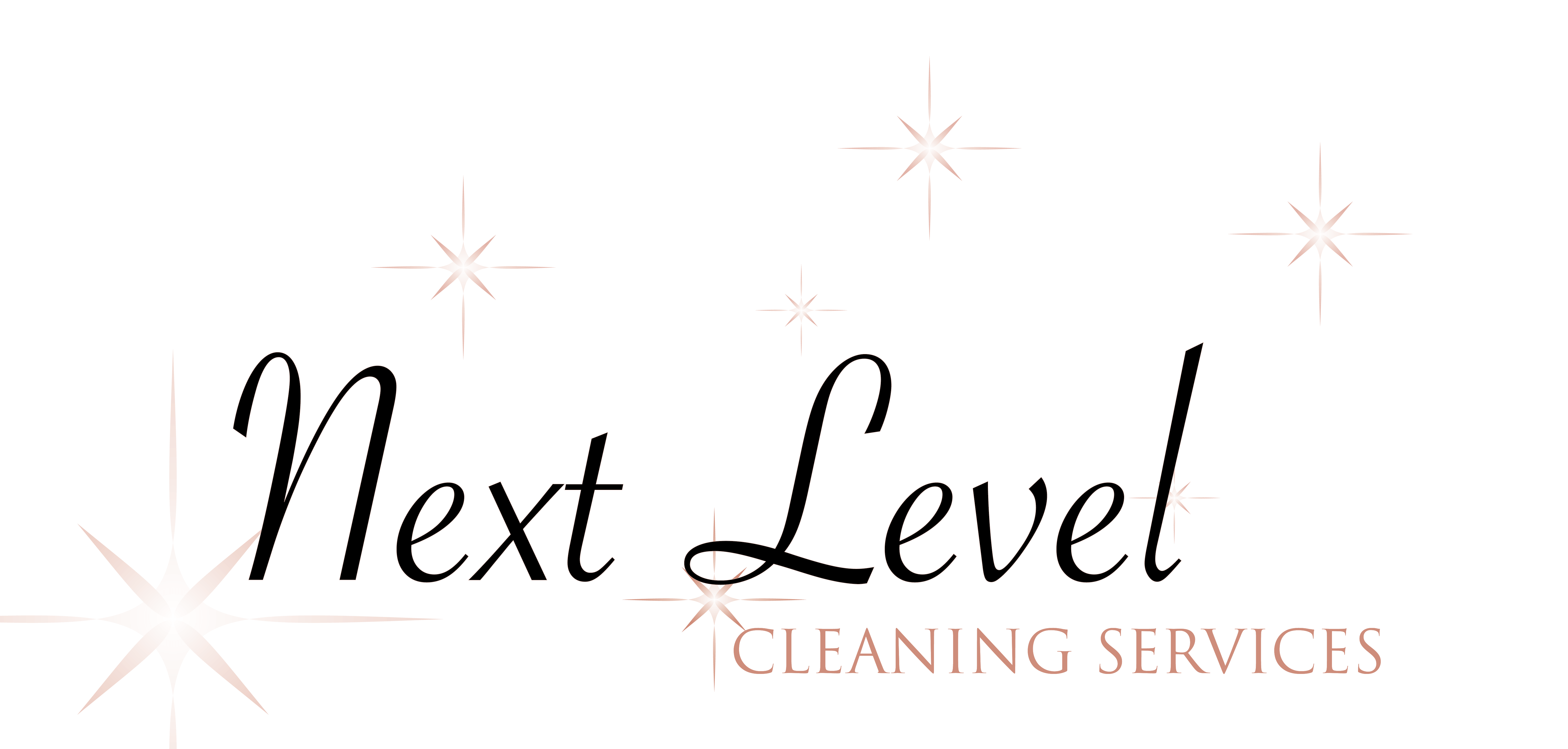 bg302 Next Level Cleaning Services