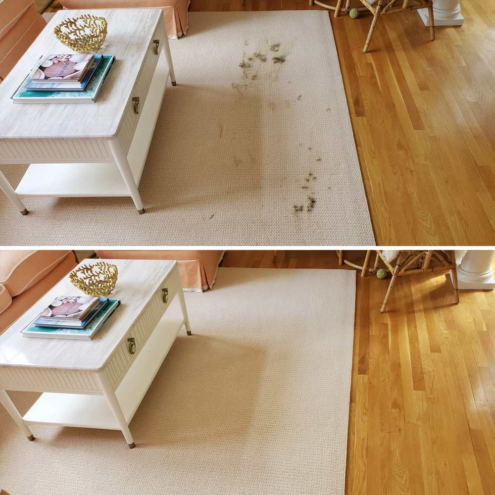 1 Best Rated Carpet Cleaning Norwalk CT & Surrounding Area