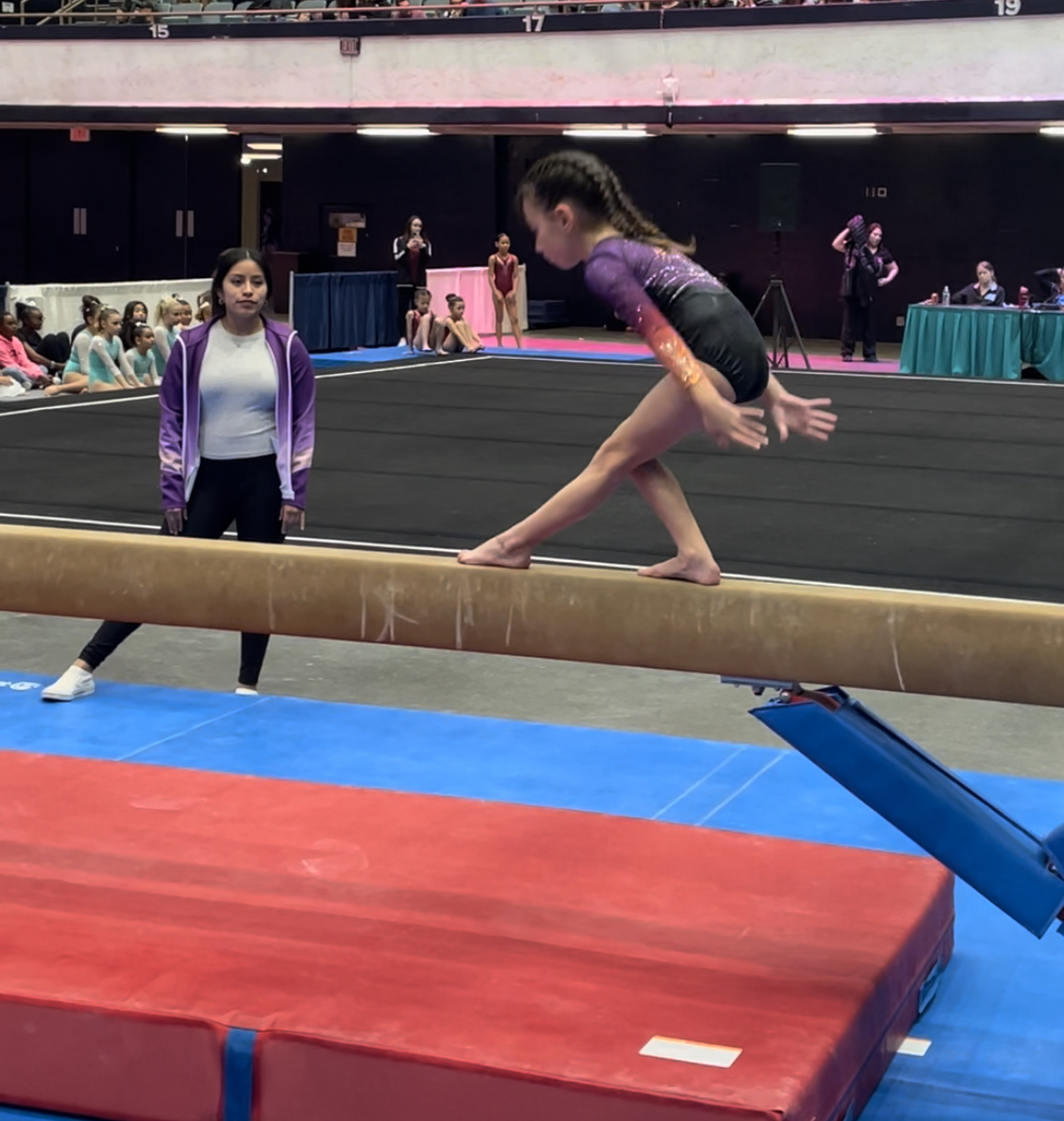 Gallery Next Level Gymnastics