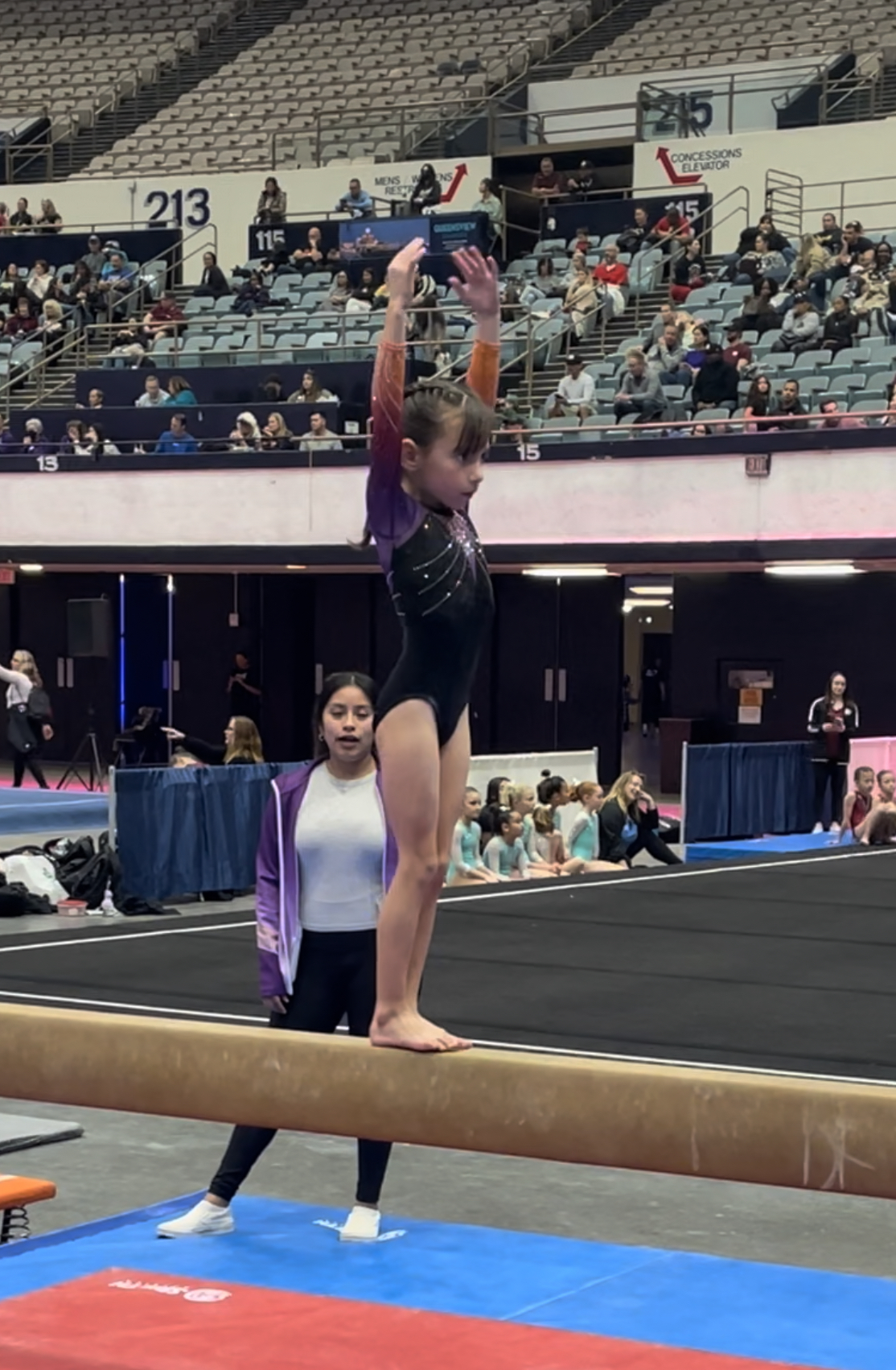 Gallery Next Level Gymnastics