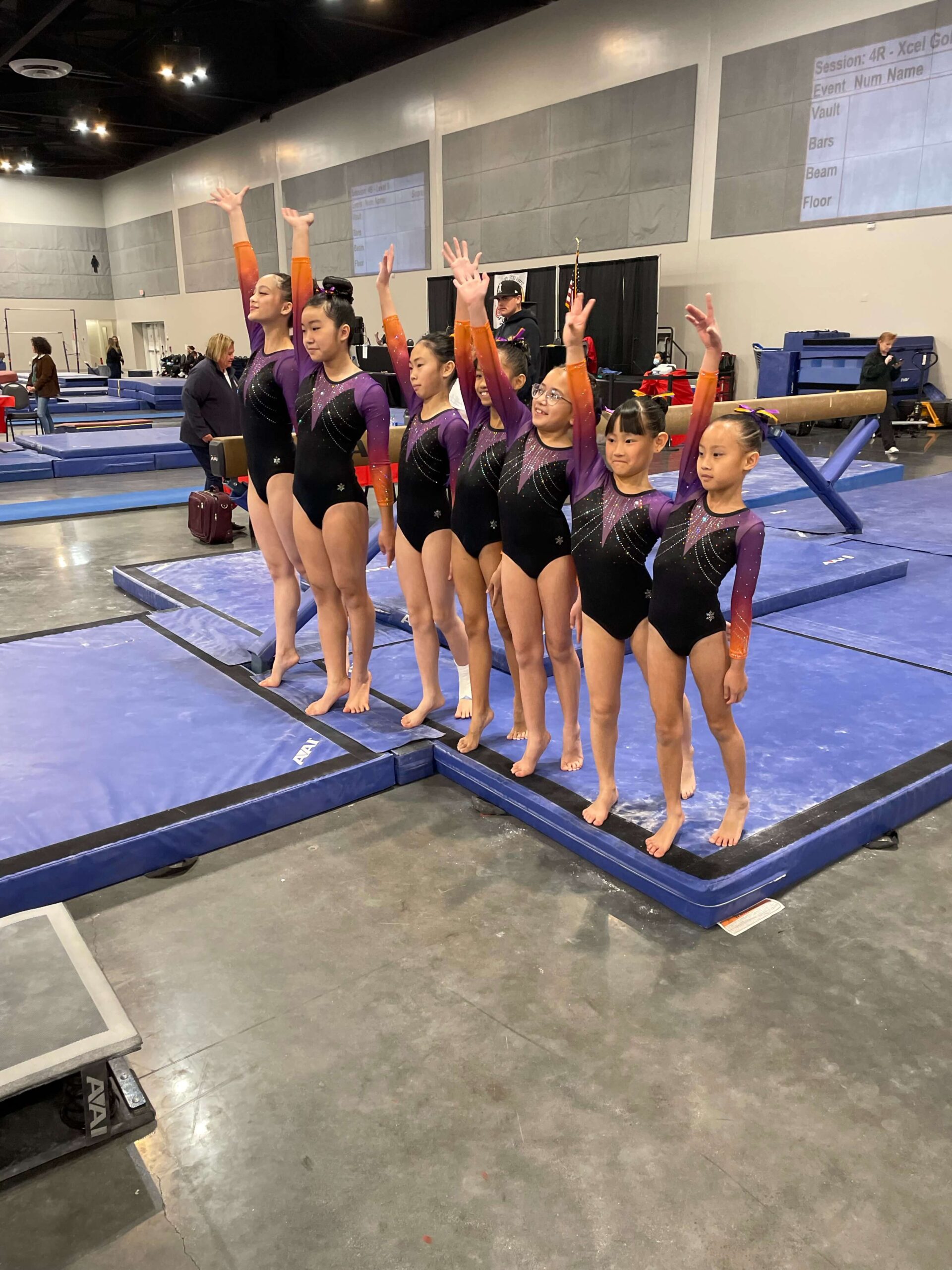 Gallery Next Level Gymnastics