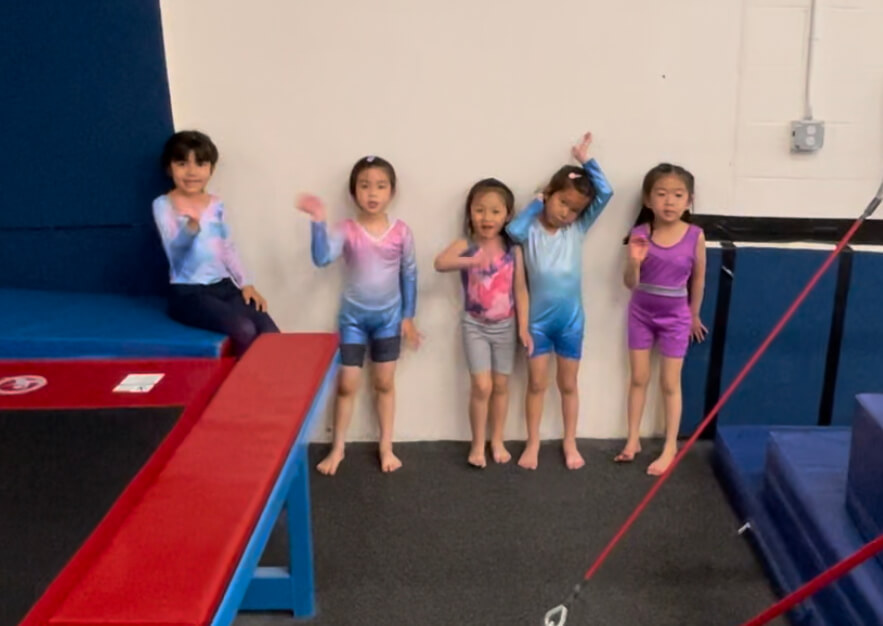 Gallery Next Level Gymnastics