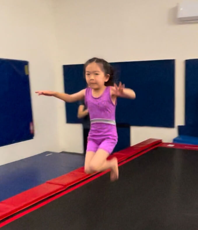 Gallery Next Level Gymnastics