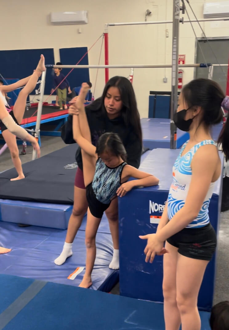 Gallery Next Level Gymnastics