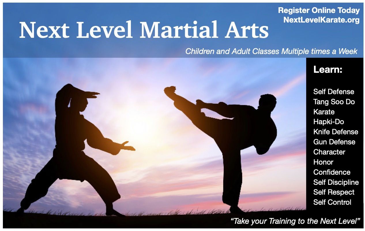Next Level Martial Arts Tang Soo Do