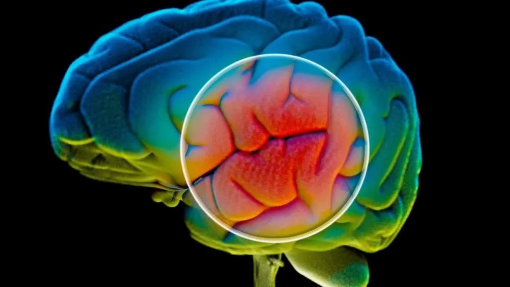 Common Mistakes After TKR Surgery Next Level Physical Therapy