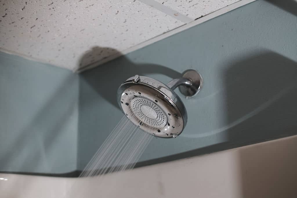 Nebia by Moen Quattro Is This the Ultimate Showerhead Upgrade?