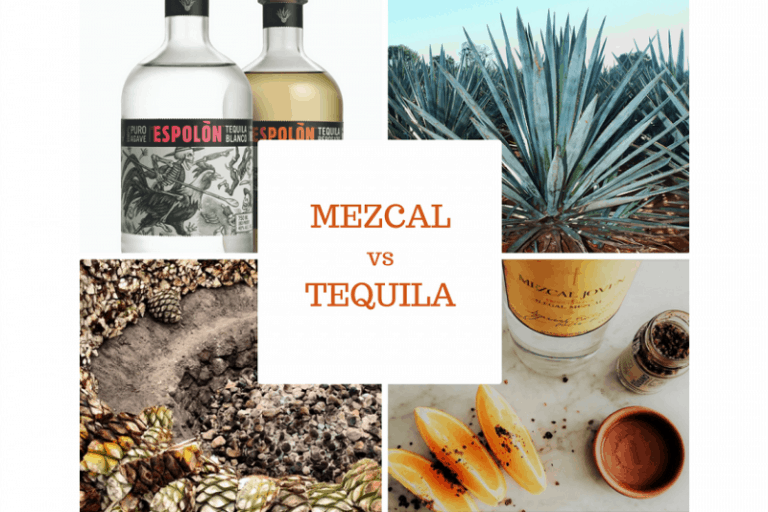 Defining the Difference Between Mezcal and Tequila LaptrinhX / News