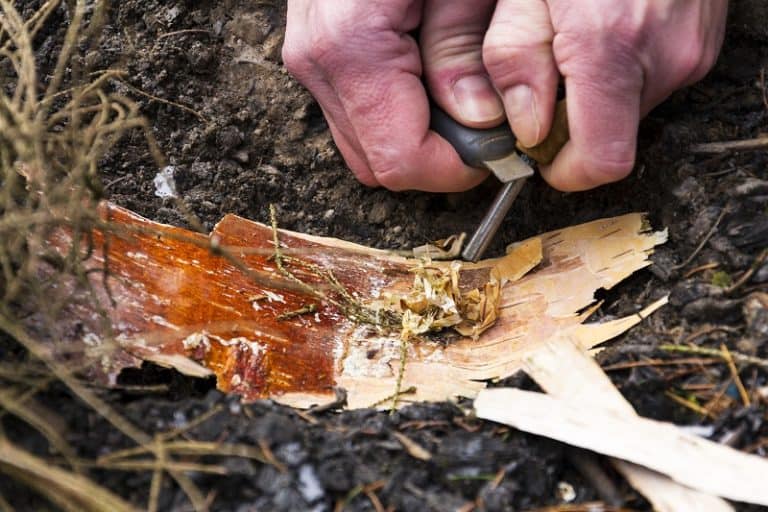 How To Start a Fire Without Matches Next Luxury