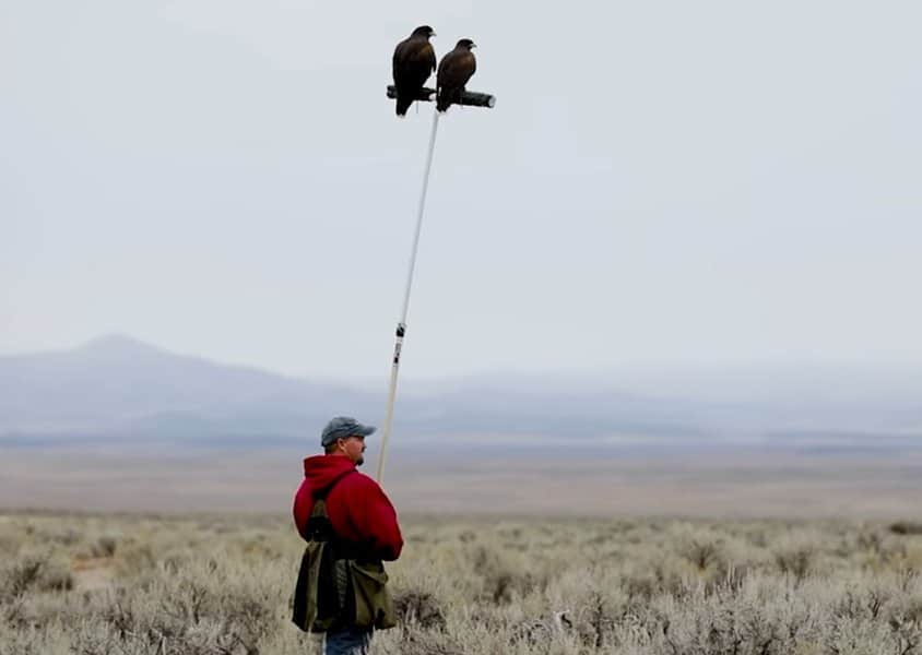 21 Badass Jobs for Those Wanting a Career Change