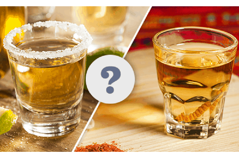 Defining the Difference Between Mezcal and Tequila LaptrinhX / News