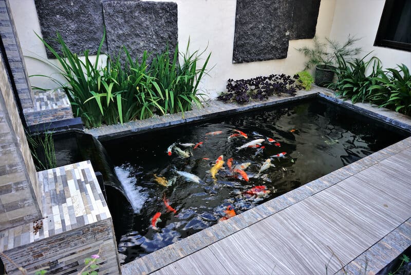 49 Best Backyard Pond Ideas To Transform Your Outdoor Space