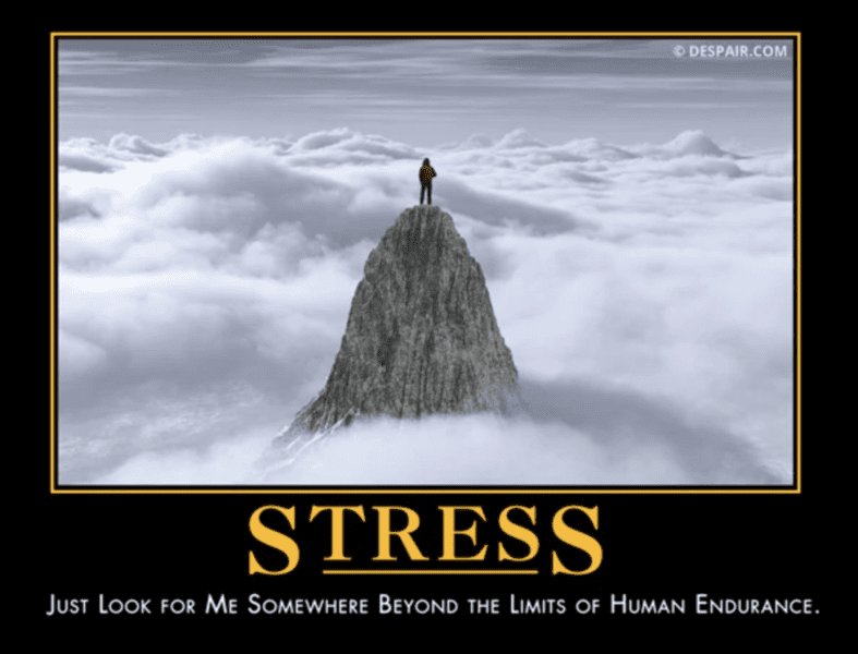 Demotivational Posters That Are Surprisingly Uplifting