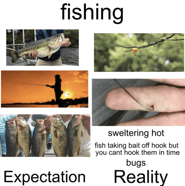 20 Fishing Memes That Will Have You Cracking Up LaptrinhX / News