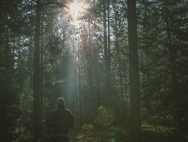 Top 50 Best Camping Tips Wilderness Tricks To Know