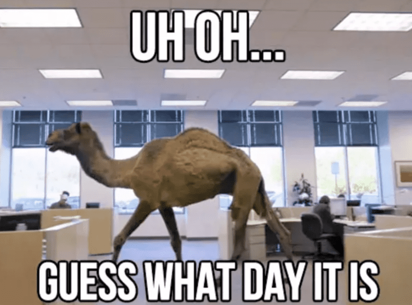 30 Funny Hump Day Memes To Get You Through the Week