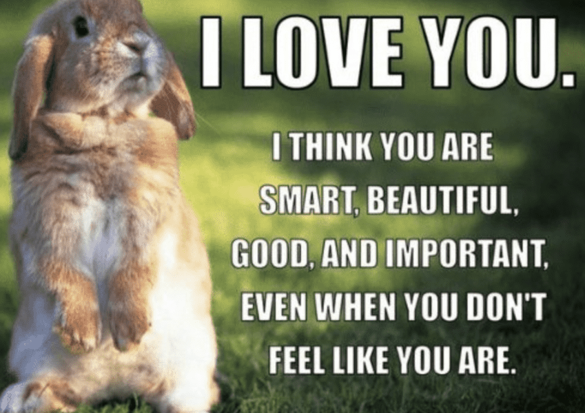 30 Romantic Love Memes To Let Your Partner Know You Care