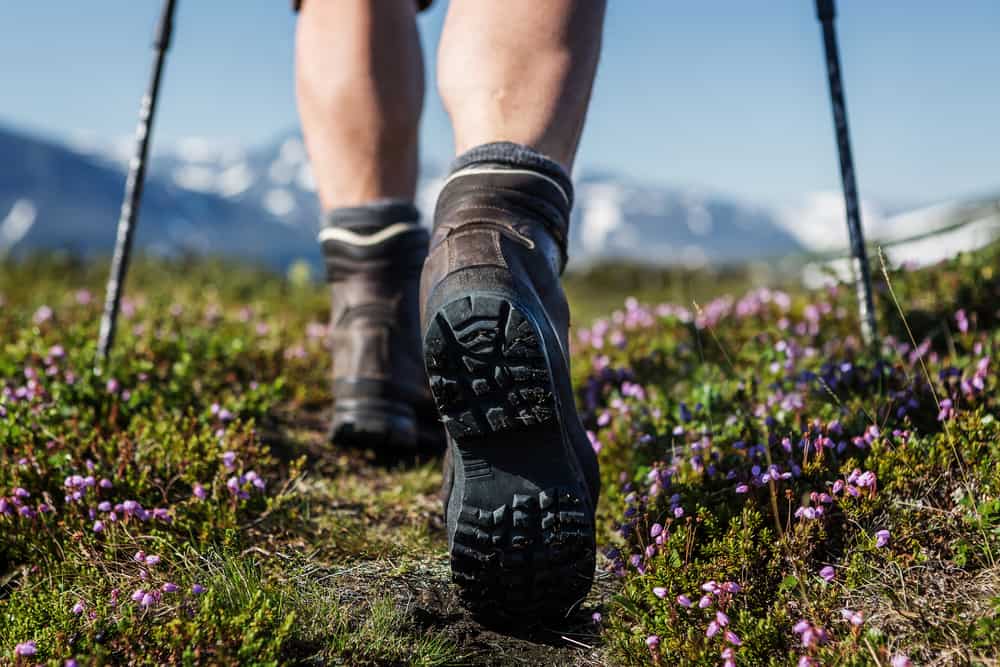 Best Hiking Equipment Brands by Category LaptrinhX / News