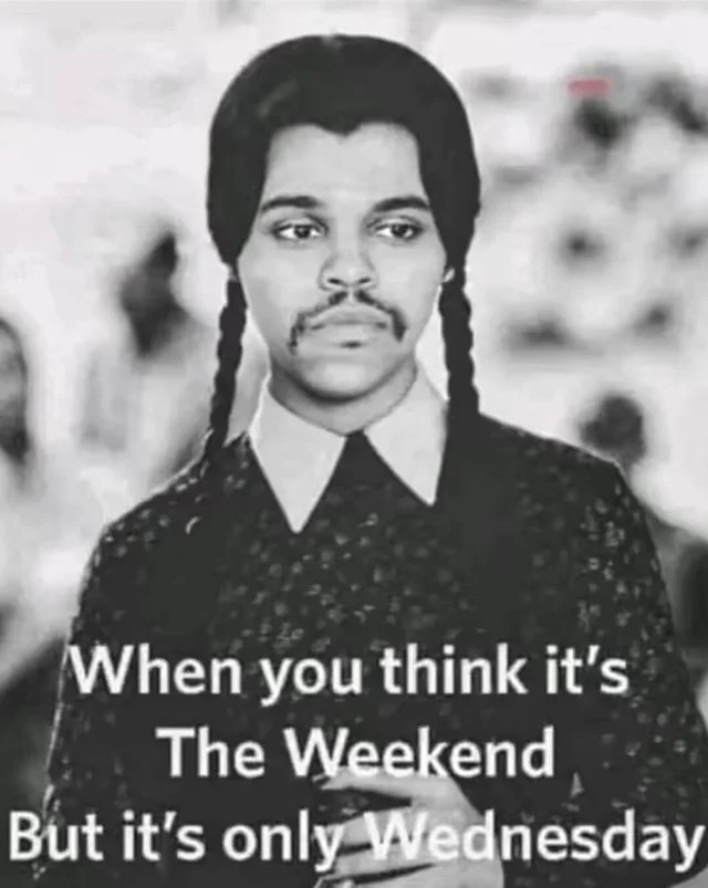 24 Funny Wednesday Memes From the Hit Netflix Show(03)