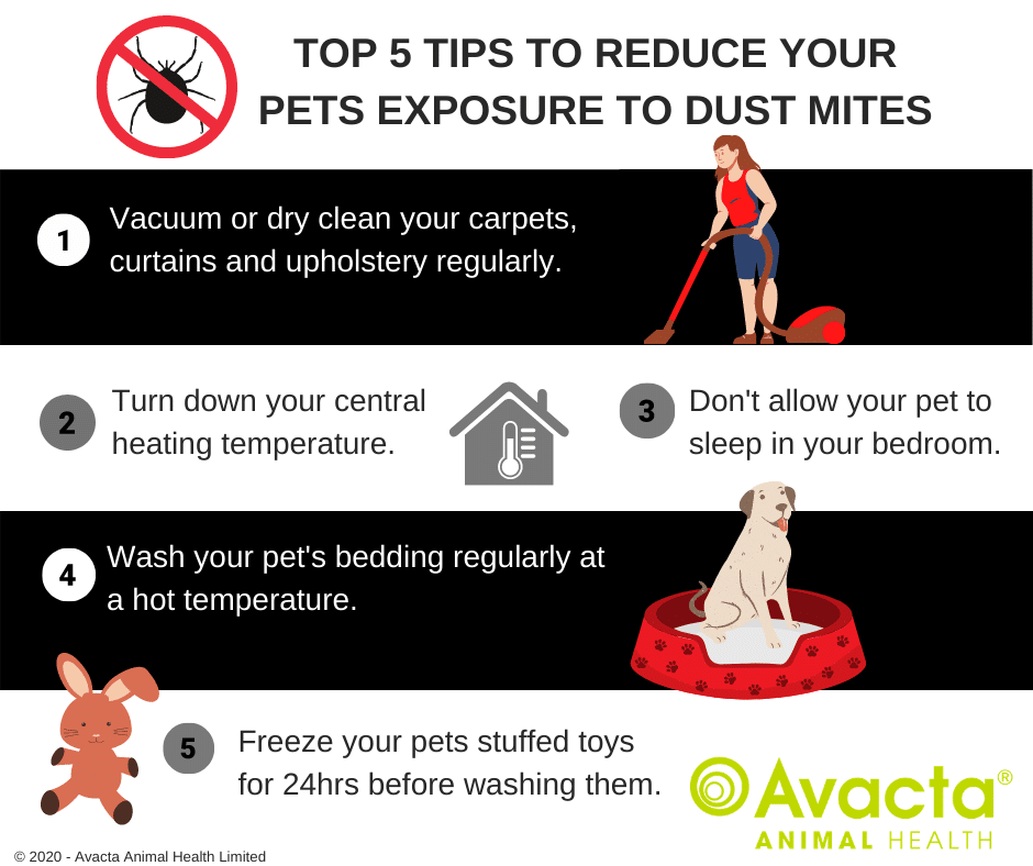 Reducing exposure to indoor allergens Nextmune Laboratories UK