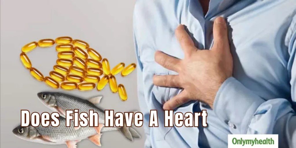 The Cardiovascular System of Fish Exploring the Fish Heart