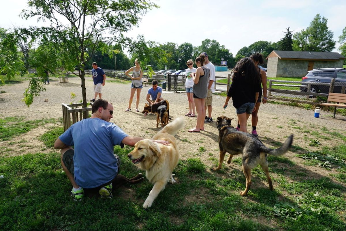 Pittsburgh dog parks and more fun places to take your dog