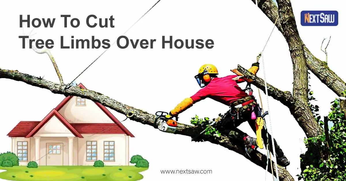 How To Cut Tree Limbs Over House [5 Steps Guideline] Next Saw
