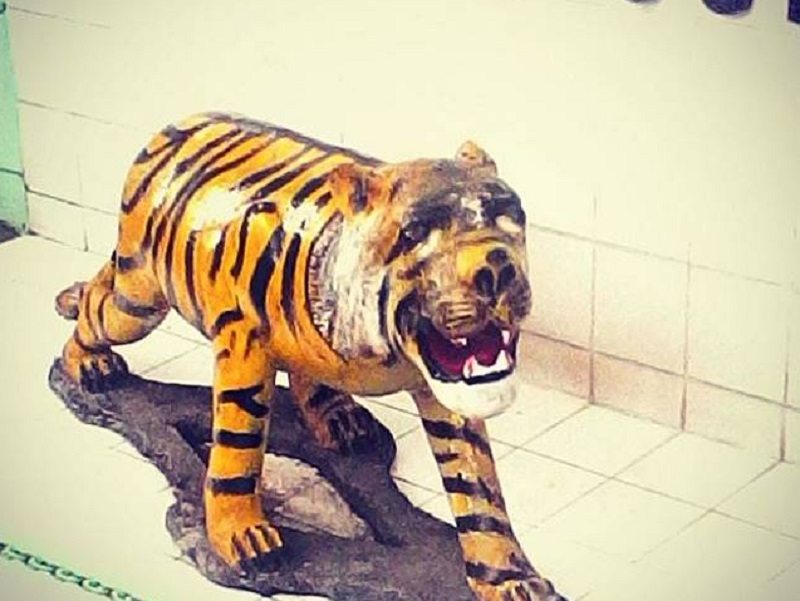 Indonesian Military Bullied into Destroying Tiger Statue Because the