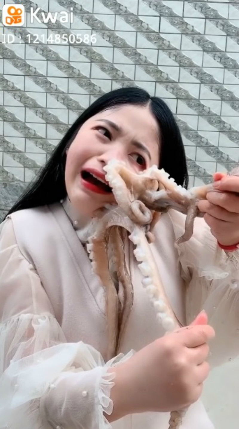 Octopus Fights Chinese Livestreamer After She Tries to Eat it Alive on Camera