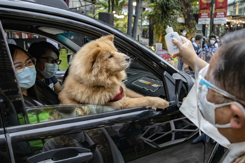 DriveThrough Pet Blessing Held in the Philippines LaptrinhX / News