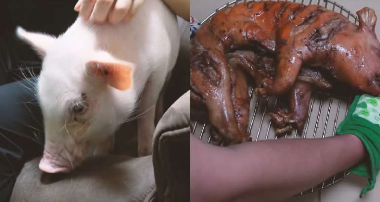 Japanese man punks the by 'eating' pet pig named Kalbi after