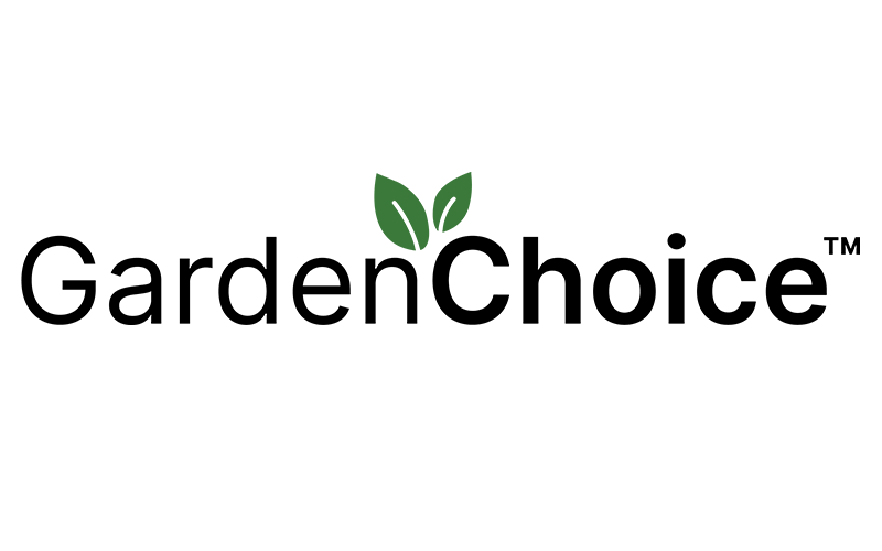 Our Clients Next Stage Labs